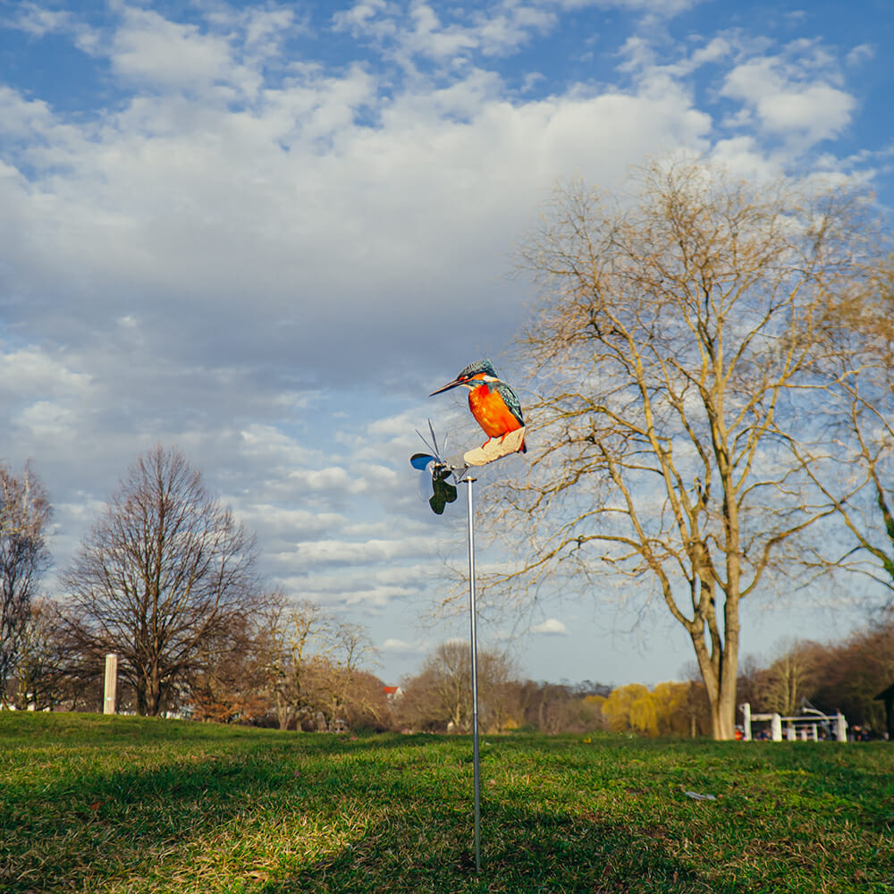 Kingfisher - Image 4